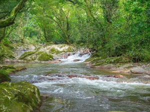 Fleuve Magdalena Croisi&egrave;re - Image 4