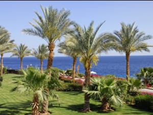 Sharm El Sheikh (&Auml;gypten) - Bild 2