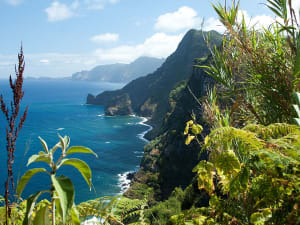 Madeira, Portugal &ndash; Gr&uuml;ne Steilk&uuml;ste mit Blick auf den Atlantik