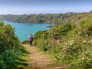 Guernsey, Kanalinseln &ndash; Wanderweg mit Blick auf bl&uuml;hende K&uuml;ste und t&uuml;rkisblaues Meer