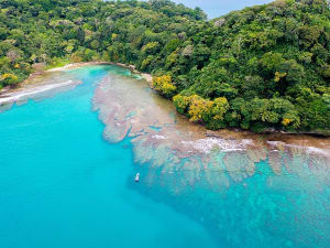 Col&oacute;n (Panama) - Picture 5