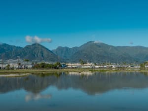 Kahului, USA &ndash; Palmen und Siedlung vor den steilen H&auml;ngen von West Maui