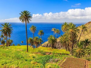 La Gomera (Iles Canaries, Espagne) - Image 2