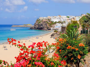 Fuerteventura (Iles Canaries, Espagne) - Image 3