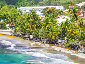 Fort-de-France, Martinique &ndash; Wellen am Strand mit Palmen