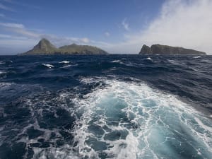 Nightingale Island (Tristan da Cunha, St. Helena) - Foto 2