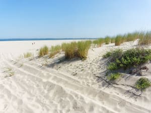 Le Verdon-sur-Mer, Frankreich &ndash; Sandd&uuml;nen mit Strandgras und Blick auf das Meer