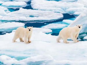 Barents&oslash;ya (Svalbard) - Image 5