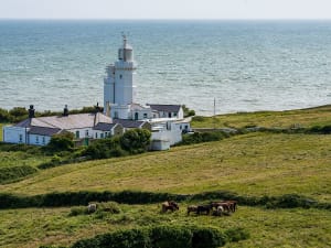 Cowes, Isle of Wight, England &ndash; Wei&szlig;er Leuchtturm an der K&uuml;ste mit gr&uuml;nen Wiesen und Blick auf das Meer
