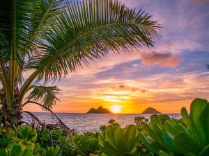 Kailua-Kona, USA &ndash; Palmen rahmen Sonnenuntergang &uuml;ber Inseln im Meer