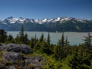 Haines, Alaska, USA &ndash; Fichtengipfel vor Gletschersee und zerkl&uuml;fteter Bergkette