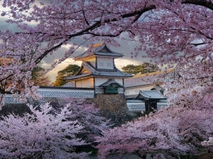 Kanazawa, Japan &ndash; Kirschbl&uuml;ten rahmen das wei&szlig;e Schloss aus der Edo-Zeit