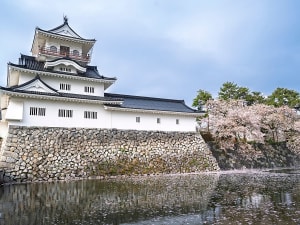 Kanazawa, Japan &ndash; Wei&szlig;e Mauern der Burg spiegeln sich im Graben mit Bl&uuml;ten