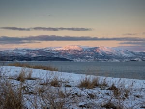 Harstad, Norwegen &ndash; Bunte Holzh&auml;user schmiegen sich an leuchtend herbstlichen Waldhang
