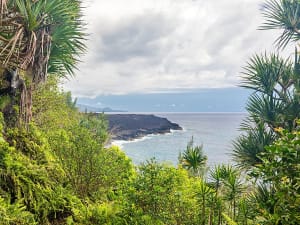 Le Port, R&eacute;union &ndash; &Uuml;ppige Pflanzen rahmen den Blick auf eine felsige Vulkan-K&uuml;ste am Meer