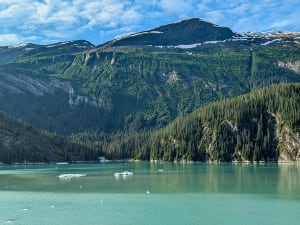 Endicott Arm (Alaska, &Eacute;tats-Unis) - Image 5