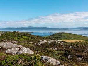 Gigha (Schottland) - Bild 3