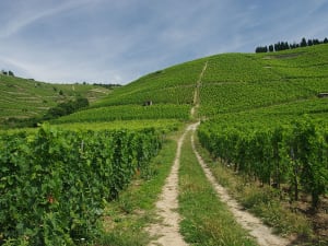 Tain-l'Hermitage (Frankreich) - Bild 2