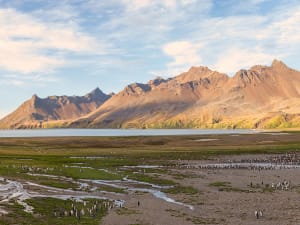 G&eacute;orgie du Sud (G&eacute;orgie du Sud et Iles Sandwich du Sud) - Image 5