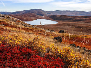 Kangerlussuaq / S&oslash;ndre Str&oslash;mfjord (Gr&ouml;nland) - Bild 5