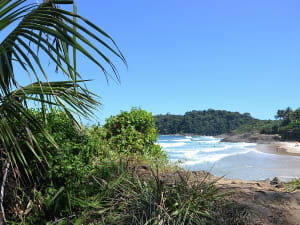 Ilh&eacute;us (Bahia, Brasilien) - Bild 5