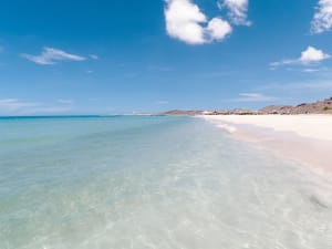 La Paz (Baja California, Mexico) - Foto 5