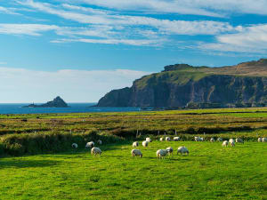 Waterford (Irlanda) - Bild 4
