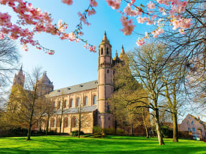 Worms (Germany) - Picture 5