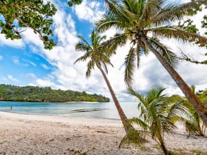 Vava'u (Tonga) - Picture 4