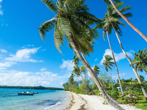 Vava'u (Tonga) - Picture 3