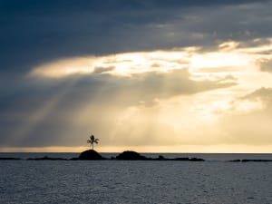 Alotau, Pap&uacute;a Nueva Guinea &ndash; Peque&ntilde;a isla con palmeras bajo la luz del atardecer en la bah&iacute;a de Milne