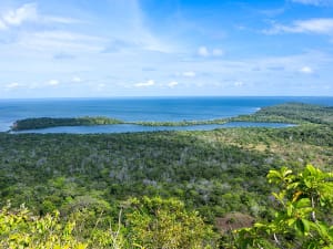 Alter do Ch&atilde;o, Brasil &ndash; Vista de la selva amaz&oacute;nica y sus canales cerca de Alter do Ch&atilde;o
