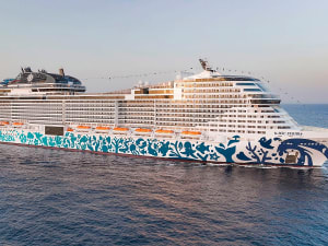 MSC Euribia: Aussenansicht