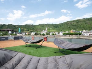 STARLING FLEET - Thurgau Gold - Picture 3