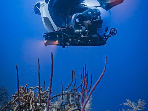 Scenic - Scenic Eclipse - Foto 5