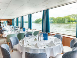 STARLING FLEET - Rhein Melodie - Picture 5