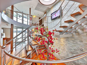 STARLING FLEET - VistaRio  - Picture 5