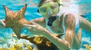 Norwegian Fahrtgebiete