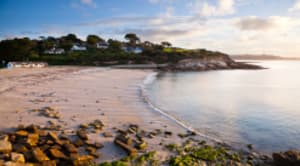 Fahrtgebiete mit Holland America