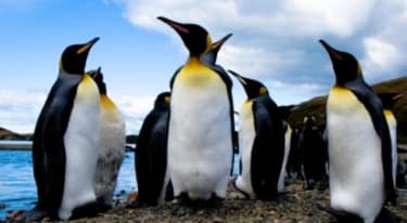 Croisi&egrave;res exp&eacute;ditions