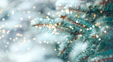 Cruzeiros no Natal e Fim de Ano: tempo para ti em datas especiais