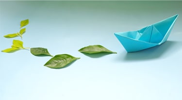 Kreuzfahrt und Umwelt