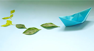 Kreuzfahrt und Umwelt