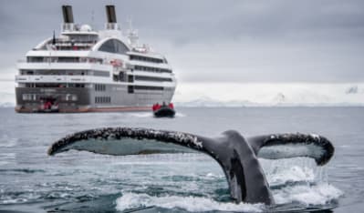 Uma experi&ecirc;ncia &uacute;nica no mar