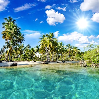 Cruise Aanbod cruisetravel