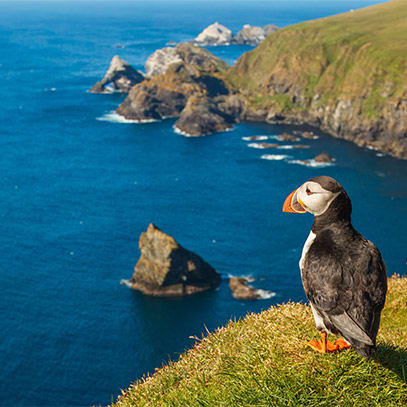 Cruzeiro Ofertas unmundopt