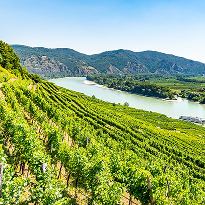 Kreuzfahrt Angebote cruisecenter