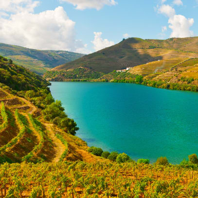 Cruise Aanbod cruisetravel