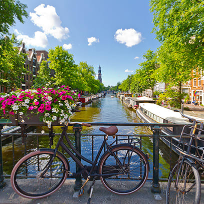 Cruise Aanbod wondercruises