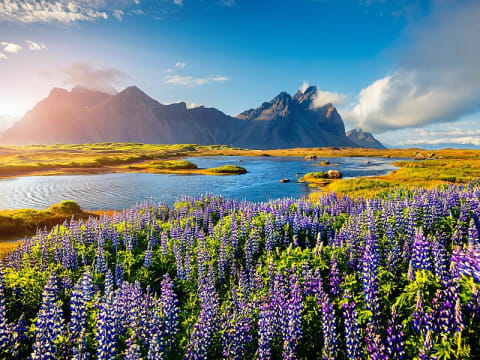 Island  ab/bis Reykjavik